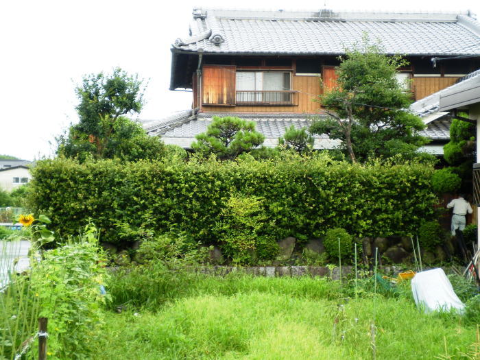 ���ʙ���O