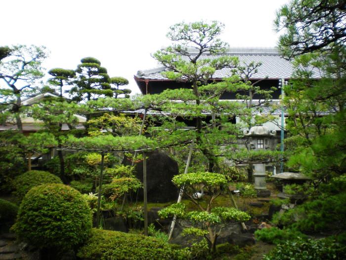 お庭1剪定前・剪定後