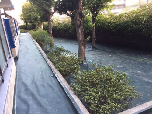 防草工事施工写真2