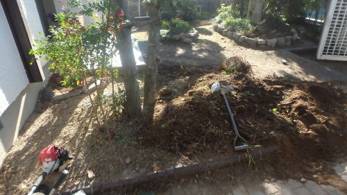 植木撤去