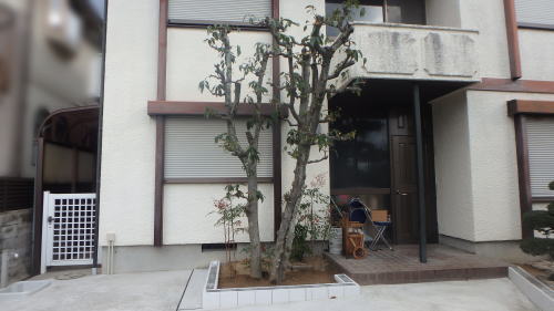花壇