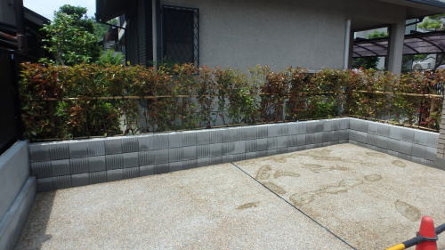 高槻市M様邸 レッドロビン移植完了