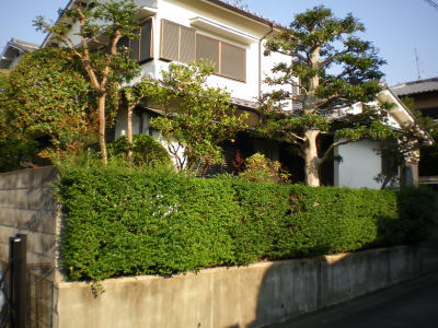 施工前