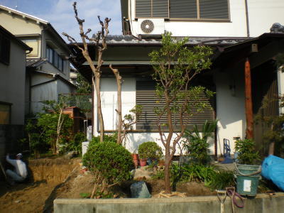 植木の移動