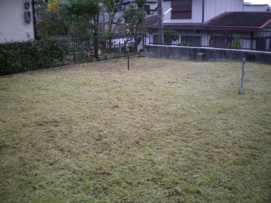 草刈り 茨木 その1