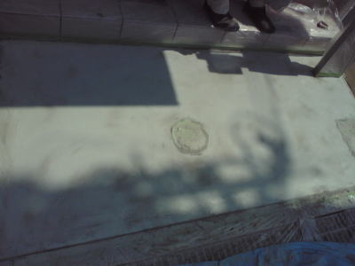 �J���[�n�[�f�B�i�[���܂��܂���
