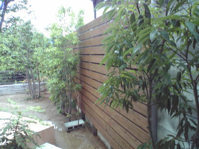 �ؐ��ډB���t�F���X3