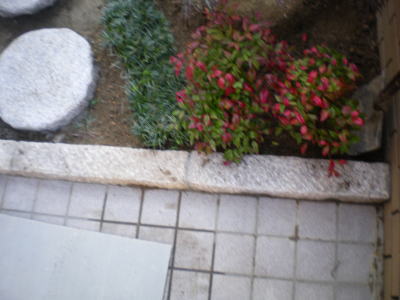 �A�v���[�`�Ƃ���̎d�؂�Ƀs���R��