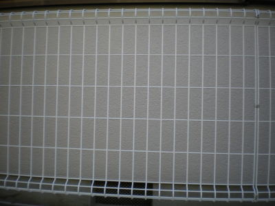 TOEX �n�C�O���b�hN8�^ �A�C�{���[�z���C�g